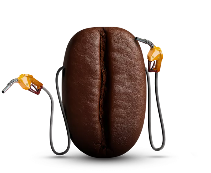 فروش انواع قهوه روبوستا و عربیکا