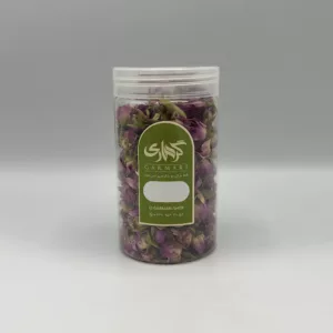 غنچه گل محمدی