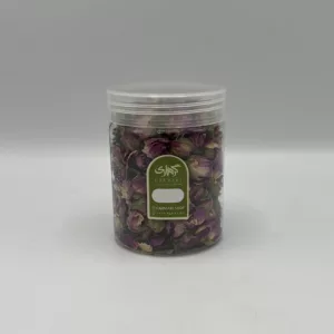 غنچه گل محمدی