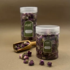 غنچه گل محمدی