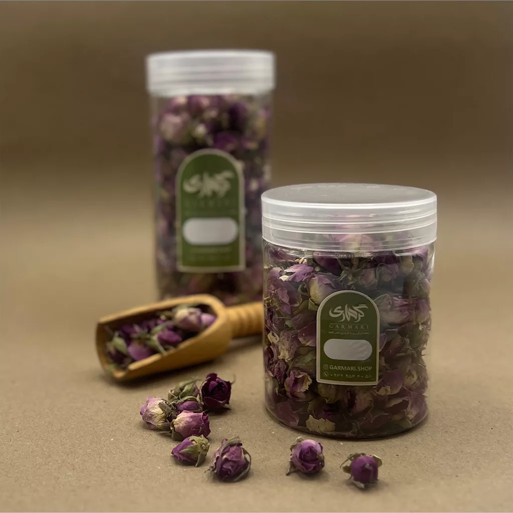 غنچه گل محمدی