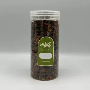 بادیان ستاره ای