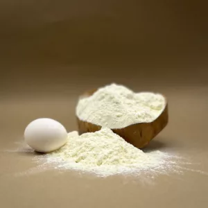 پودر سفیده تخم مرغ