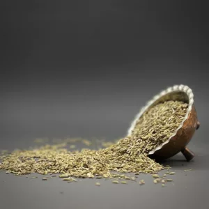 دانه رازیانه